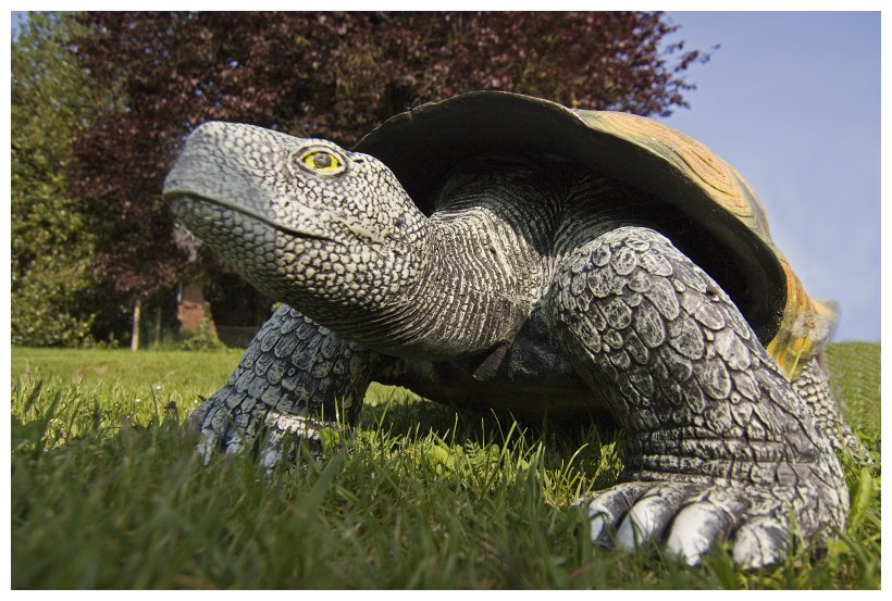 Schildkröte ca. 35 cm hoch
